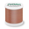 Stickfaden Madeira "Rayon" - 200m col. 1057