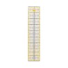 Righello 10 x 45 cm